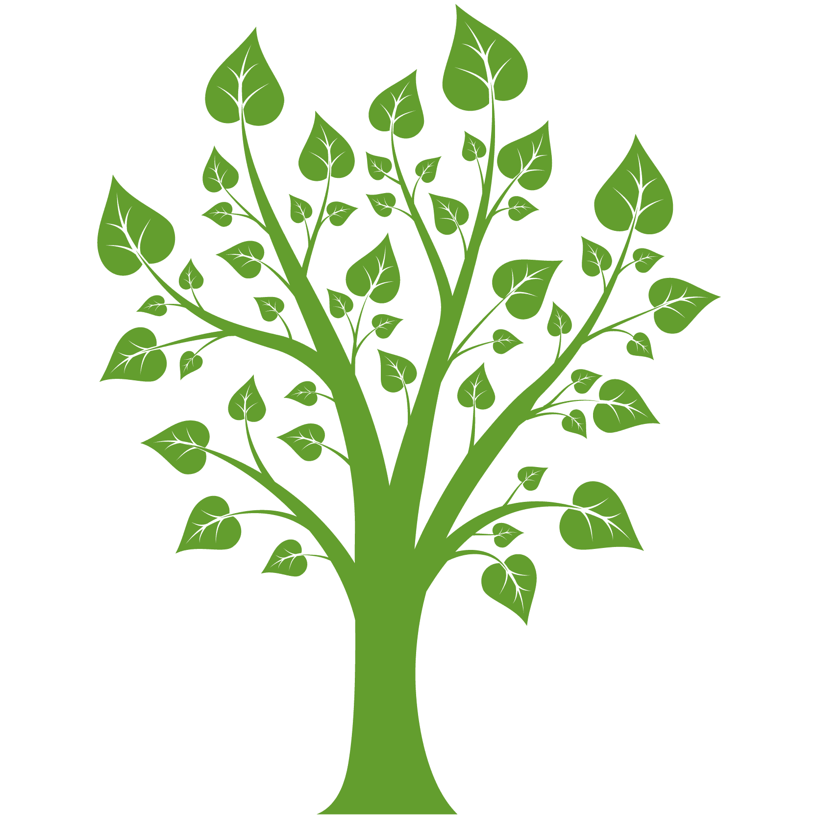 Groene boom